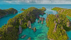 米苏尔岛，拉贾安帕特群岛中的岛屿，印度尼西亚 (© rusm/Getty Images)(Bing China)