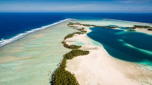 Schutzgebiet Palmyra-Atoll, Pazifischer Ozean, USA (© Ian Shive/Tandem Stills + Motion)(Bing Deutschland)