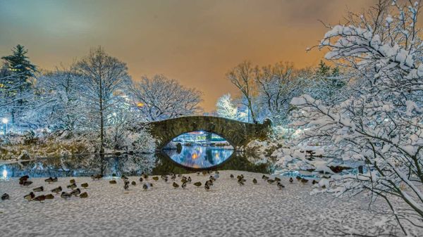 Gapstow Bridge in Central Park, New York City