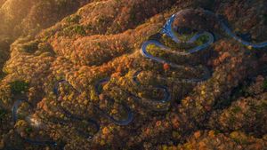 La strada Irohazaka in autunno, Nikko, Tochigi, Giappone (© oneinchpunch/Shutterstock)(Bing Italia)