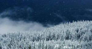Snow falling on trees in Squamish, British Columbia, Canada (© Getty Images) &copy; (Bing United States)