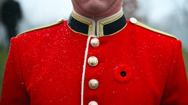A member of the Canadian Armed Forces wears a poppy prior to a Remembrance Day ceremony