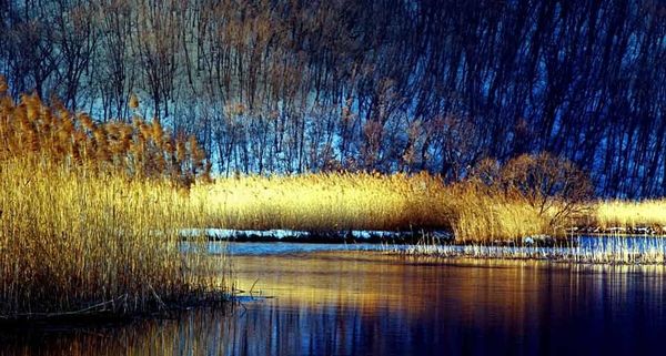 ZhuanxinLakeWinter