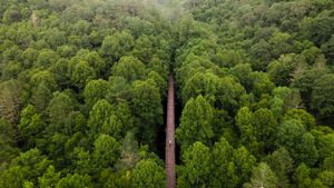 バージニア・クリーパー・トレイル, 米国 バージニア州 (© Eifel Kreutz/Getty Images)(Bing Japan)