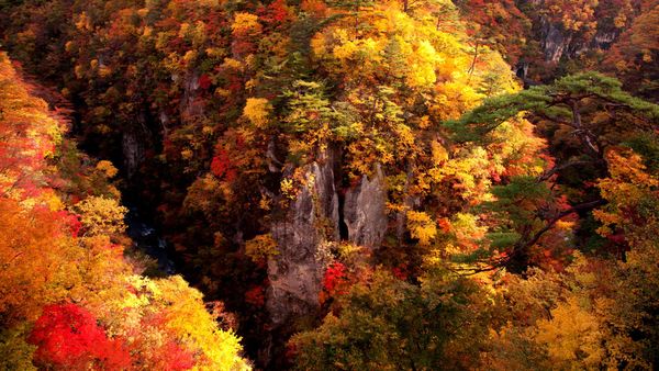 ｢鳴子峡の紅葉｣宮城, 大崎市