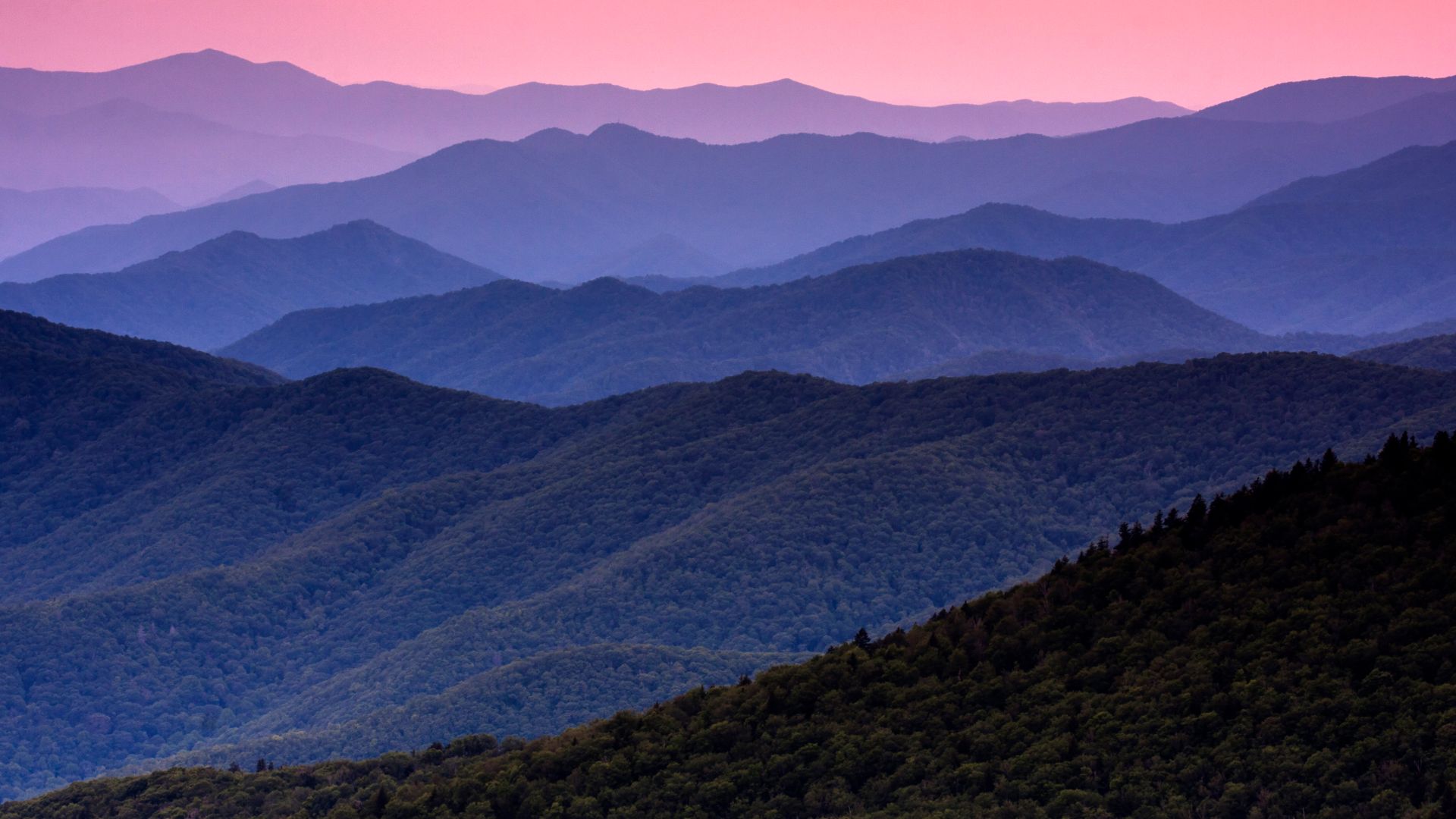 Great Smoky Mountains National Park, Tennessee, United States