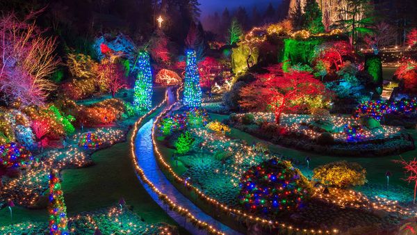 Christmas lights at the Butchart Gardens in British Columbia