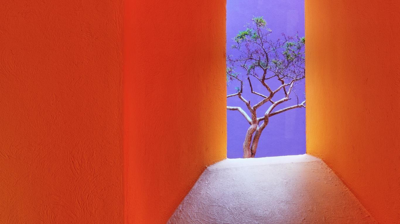 Orange corridor, San Jose del Cabo, Mexico