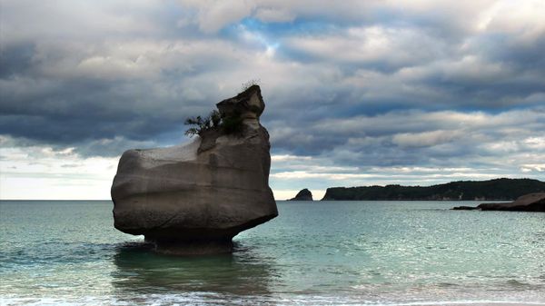 Eroding rock at Cathedral Cove on North Island, New Zealand