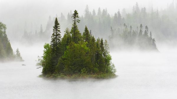 Island in Fenton Lake, Lake Superior Provincial Park, Ontario, Canada