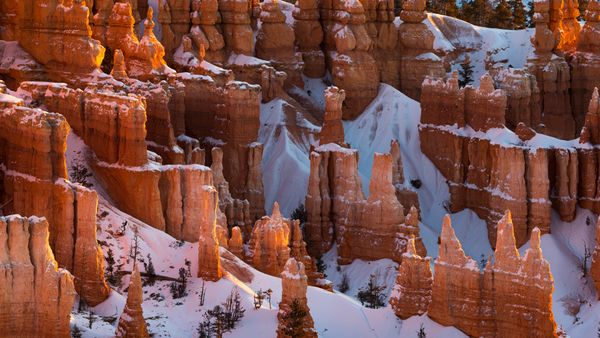 Parco Nazionale del Bryce Canyon, Utah, Stati Uniti