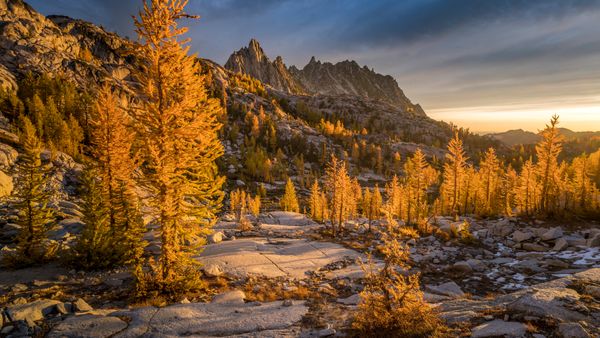 Larici dorati e Prusik Peak, Washington